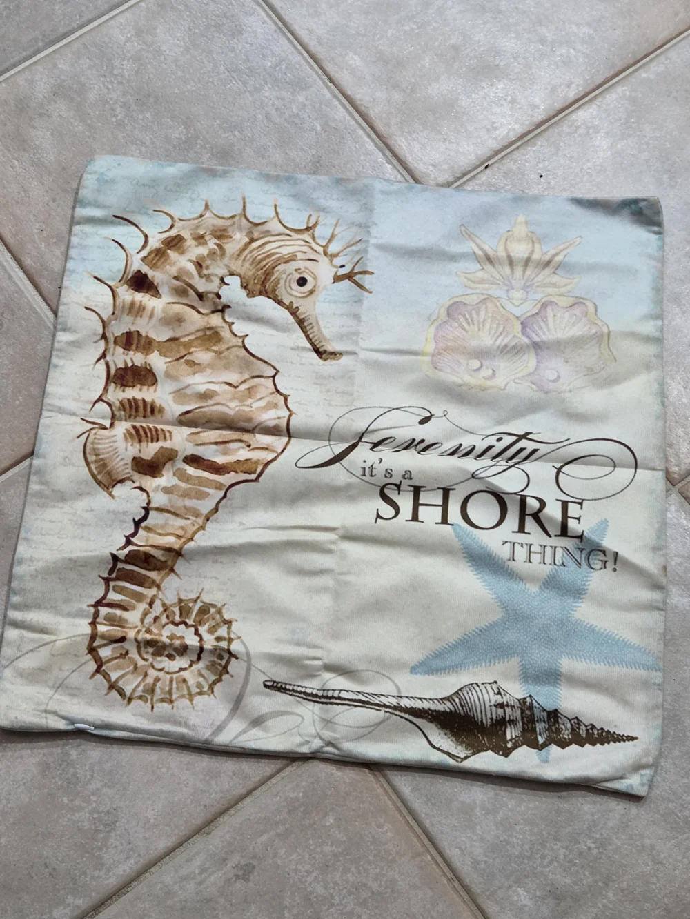 Serenity Shore Decorative Beach Pillow Cover - Light Blue/Cream